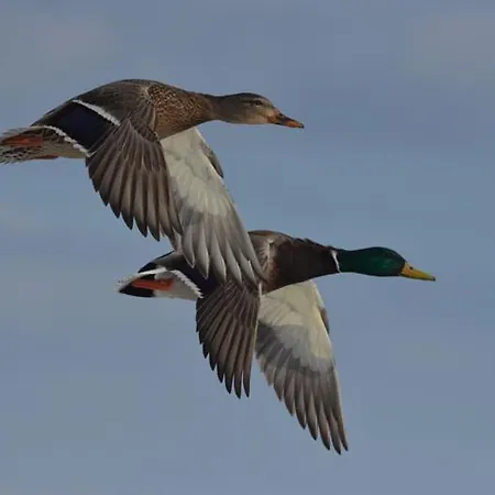 Appt Spacieux Et Lumineux Pour 6 Pers Lejlighed Giffaumont-Champaubert